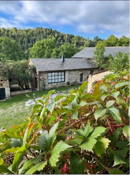Le Chateau Brangoly (Adults Only) Enveitg Exterior foto